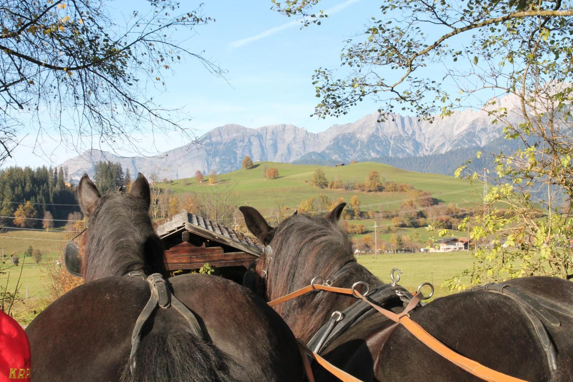 Oberdeutinghof Apartment Saalfelden ภายนอก รูปภาพ